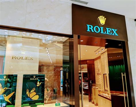 rolex dealer tampa|authorized rolex dealer tampa.